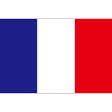 アスクル】 東京製旗 フランス国旗・トリコロール（卓上旗16×24ｃm) 406647 1枚（直送品） 通販 - ASKUL（公式）