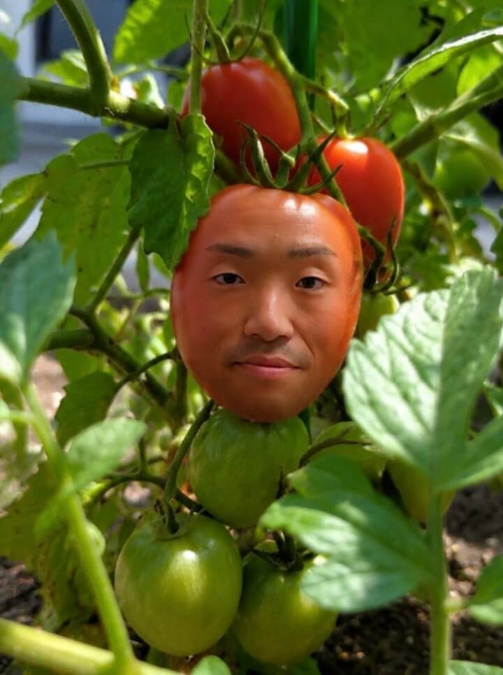 トマト様オーダーページ image4-1.jpeg