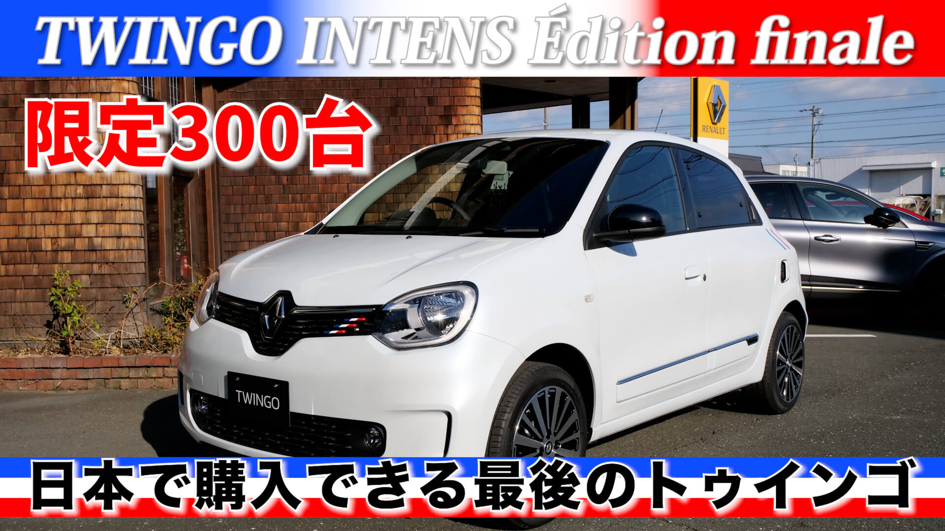 ルノートゥインゴ•ラパリジェンヌ 純正ホイール おさえつけ 250台限定車